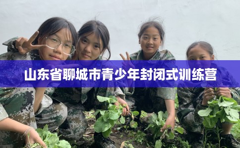 山东省聊城市青少年封闭式训练营