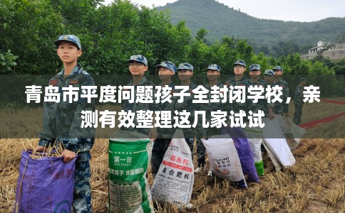 青岛市平度问题孩子全封闭学校,亲测有效整理这几家试试 青岛市平度问题孩子全封闭学校,亲测有效整理这几家试试