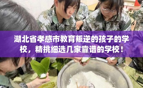 湖北省孝感市教育叛逆的孩子的学校,精挑细选几家靠谱的学校! 湖北省孝感市教育叛逆的孩子的学校,精挑细选几家靠谱的学校!