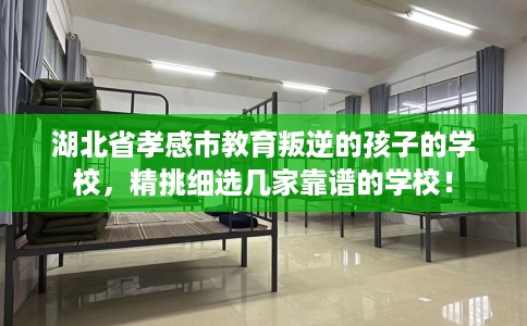 湖北省孝感市教育叛逆的孩子的学校,精挑细选几家靠谱的学校! 湖北省孝感市教育叛逆的孩子的学校,精挑细选几家靠谱的学校!