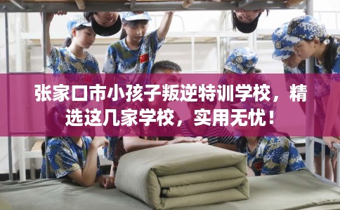 张家口市小孩子叛逆特训学校,精选这几家学校,实用无忧! 张家口市小孩子叛逆特训学校,精选这几家学校,实用无忧!