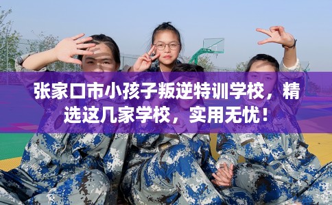 张家口市小孩子叛逆特训学校,精选这几家学校,实用无忧! 张家口市小孩子叛逆特训学校,精选这几家学校,实用无忧!