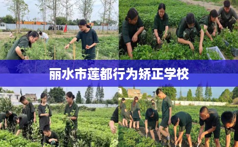 丽水市莲都行为矫正学校 丽水市莲都行为矫正学校