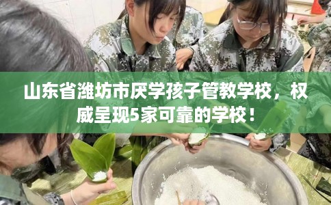 山东省潍坊市厌学孩子管教学校，权威呈现5家可靠的学校！