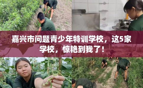 嘉兴市问题青少年特训学校,这5家学校,惊艳到我了! 嘉兴市问题青少年特训学校,这5家学校,惊艳到我了!