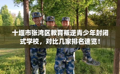 十堰市张湾区教育叛逆青少年封闭式学校,对比几家排名速览! 十堰市张湾区教育叛逆青少年封闭式学校,对比几家排名速览!