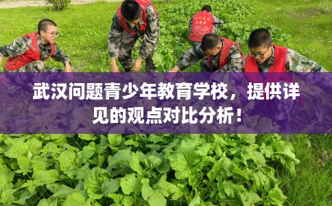 武汉问题青少年教育学校,提供详见的观点对比分析! 武汉问题青少年教育学校,提供详见的观点对比分析!