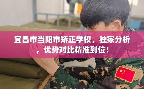 宜昌市当阳市矫正学校，独家分析，优势对比精准到位！