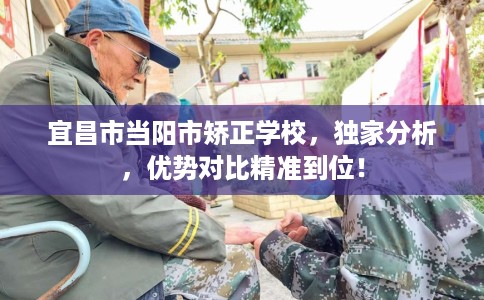 宜昌市当阳市矫正学校，独家分析，优势对比精准到位！