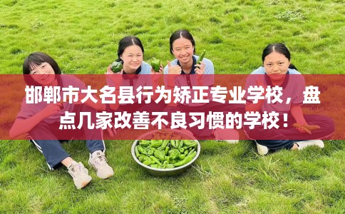邯郸市大名县行为矫正专业学校,盘点几家改善不良习惯的学校! 邯郸市大名县行为矫正专业学校,盘点几家改善不良习惯的学校!