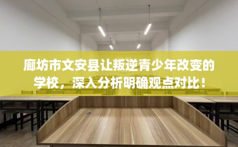 廊坊市文安县让叛逆青少年改变的学校，深入分析明确观点对比！