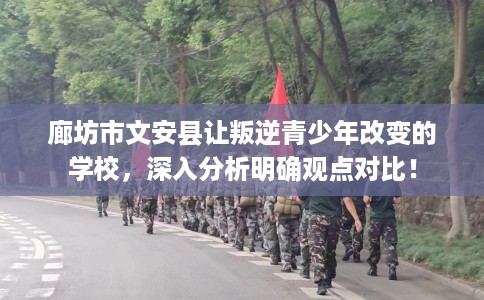 廊坊市文安县让叛逆青少年改变的学校，深入分析明确观点对比！