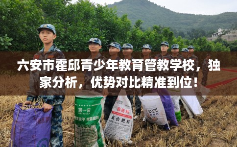 六安市霍邱青少年教育管教学校，独家分析，优势对比精准到位！