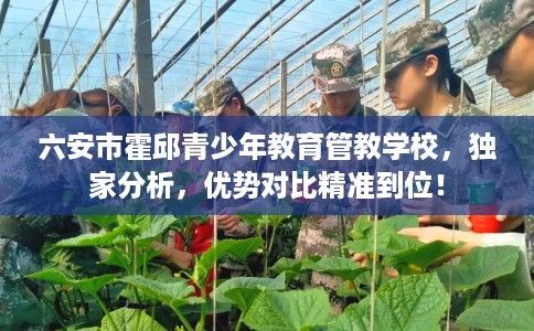 六安市霍邱青少年教育管教学校，独家分析，优势对比精准到位！
