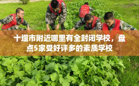 十堰市附近哪里有全封闭学校，盘点5家受好评多的素质学校