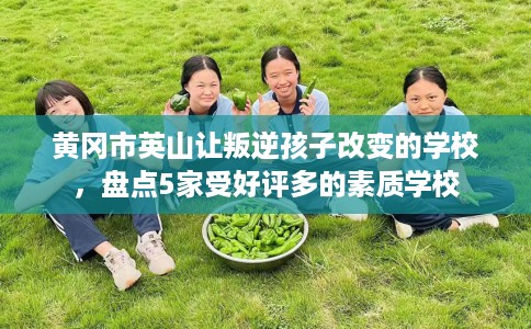 黄冈市英山让叛逆孩子改变的学校，盘点5家受好评多的素质学校