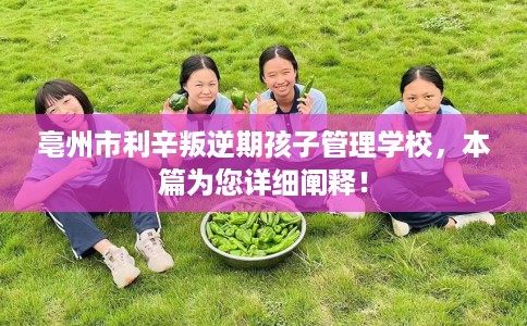 亳州市利辛叛逆期孩子管理学校，本篇为您详细阐释！