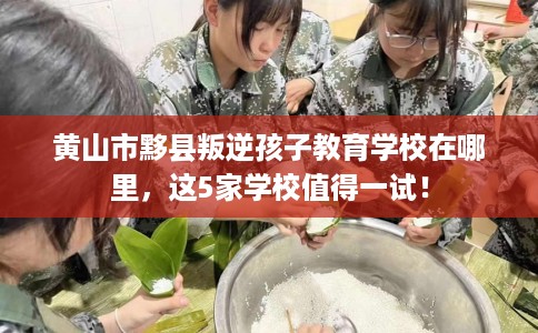黄山市黟县叛逆孩子教育学校在哪里，这5家学校值得一试！