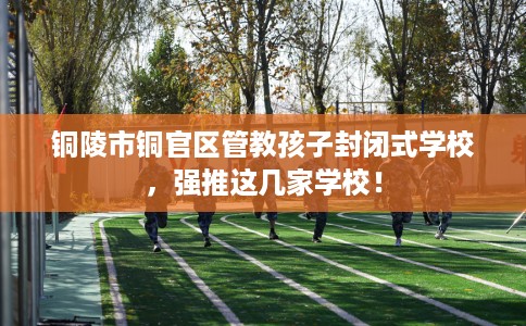 铜陵市铜官区管教孩子封闭式学校,强推这几家学校! 铜陵市铜官区管教孩子封闭式学校,强推这几家学校!