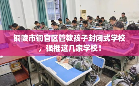 铜陵市铜官区管教孩子封闭式学校,强推这几家学校! 铜陵市铜官区管教孩子封闭式学校,强推这几家学校!