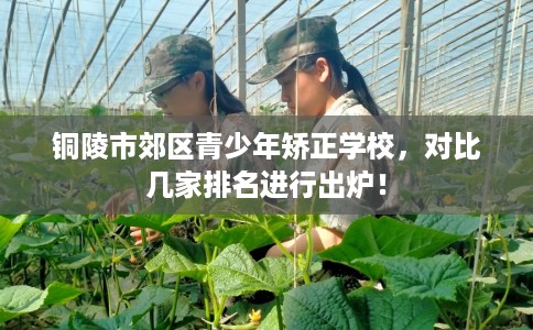 铜陵市郊区青少年矫正学校,对比几家排名进行出炉! 铜陵市郊区青少年矫正学校,对比几家排名进行出炉!