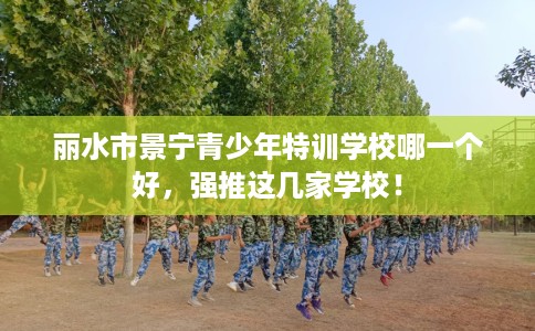 丽水市景宁青少年特训学校哪一个好,强推这几家学校! 丽水市景宁青少年特训学校哪一个好,强推这几家学校!