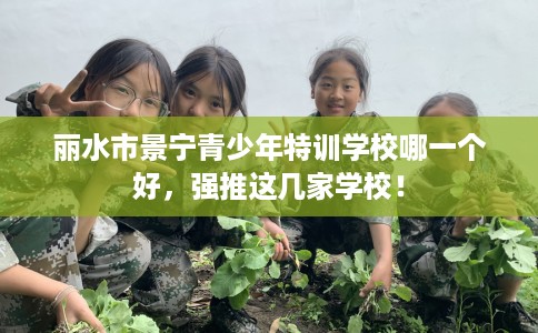 丽水市景宁青少年特训学校哪一个好,强推这几家学校! 丽水市景宁青少年特训学校哪一个好,强推这几家学校!
