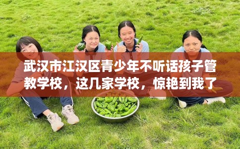 武汉市江汉区青少年不听话孩子管教学校,这几家学校,惊艳到我了! 武汉市江汉区青少年不听话孩子管教学校,这几家学校,惊艳到我了!