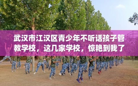 武汉市江汉区青少年不听话孩子管教学校,这几家学校,惊艳到我了! 武汉市江汉区青少年不听话孩子管教学校,这几家学校,惊艳到我了!