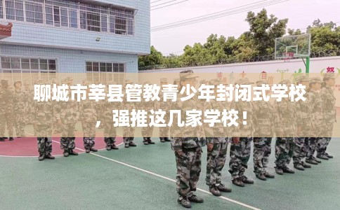 聊城市莘县管教青少年封闭式学校,强推这几家学校! 聊城市莘县管教青少年封闭式学校,强推这几家学校!