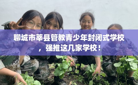 聊城市莘县管教青少年封闭式学校,强推这几家学校! 聊城市莘县管教青少年封闭式学校,强推这几家学校!
