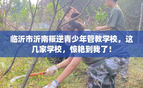 临沂市沂南叛逆青少年管教学校,这几家学校,惊艳到我了! 临沂市沂南叛逆青少年管教学校,这几家学校,惊艳到我了!