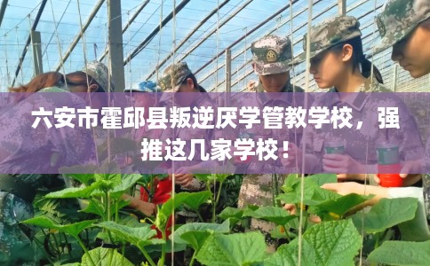 六安市霍邱县叛逆厌学管教学校,强推这几家学校! 六安市霍邱县叛逆厌学管教学校,强推这几家学校!