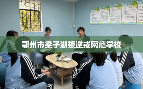 鄂州市梁子湖叛逆戒网瘾学校