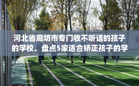 河北省廊坊市专门收不听话的孩子的学校,盘点5家适合矫正孩子的学校! 河北省廊坊市专门收不听话的孩子的学校,盘点5家适合矫正孩子的学校!