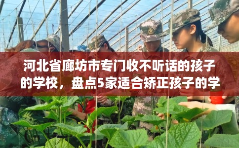 河北省廊坊市专门收不听话的孩子的学校,盘点5家适合矫正孩子的学校! 河北省廊坊市专门收不听话的孩子的学校,盘点5家适合矫正孩子的学校!
