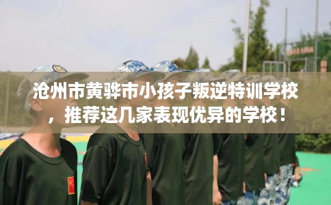 沧州市黄骅市小孩子叛逆特训学校,推荐这几家表现优异的学校! 沧州市黄骅市小孩子叛逆特训学校,推荐这几家表现优异的学校!