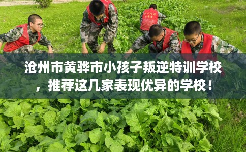 沧州市黄骅市小孩子叛逆特训学校,推荐这几家表现优异的学校! 沧州市黄骅市小孩子叛逆特训学校,推荐这几家表现优异的学校!