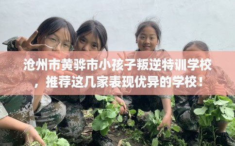 沧州市黄骅市小孩子叛逆特训学校,推荐这几家表现优异的学校! 沧州市黄骅市小孩子叛逆特训学校,推荐这几家表现优异的学校!