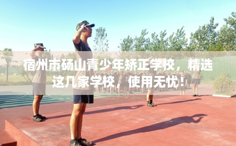 宿州市砀山青少年矫正学校,精选这几家学校,使用无忧! 宿州市砀山青少年矫正学校,精选这几家学校,使用无忧!