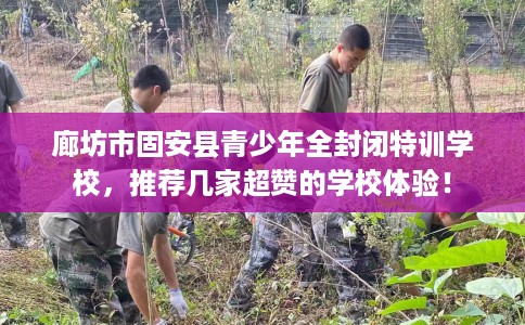 廊坊市固安县青少年全封闭特训学校，推荐几家超赞的学校体验！