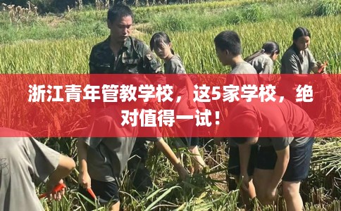 浙江青年管教学校，这5家学校，绝对值得一试！