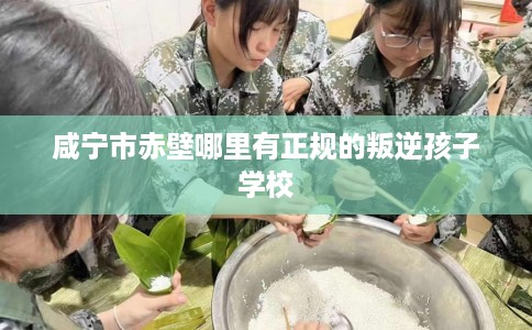 咸宁市赤壁哪里有正规的叛逆孩子学校