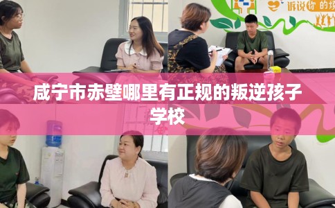 咸宁市赤壁哪里有正规的叛逆孩子学校
