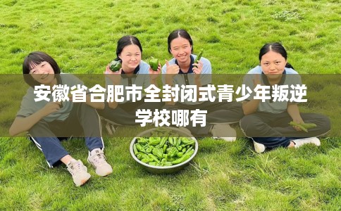 安徽省合肥市全封闭式青少年叛逆学校哪有 安徽省合肥市全封闭式青少年叛逆学校哪有