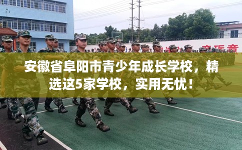 安徽省阜阳市青少年成长学校，精选这5家学校，实用无忧！