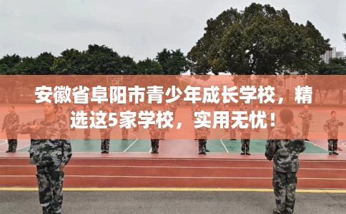 安徽省阜阳市青少年成长学校，精选这5家学校，实用无忧！