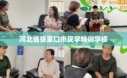 河北省张家口市厌学特训学校