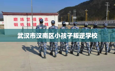武汉市汉南区小孩子叛逆学校