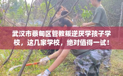 武汉市蔡甸区管教叛逆厌学孩子学校，这几家学校，绝对值得一试！